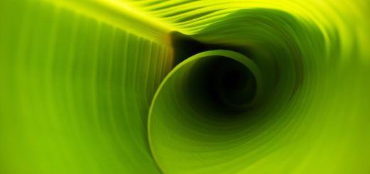 10 Environmental Organizations Focused on Solving Climate Change