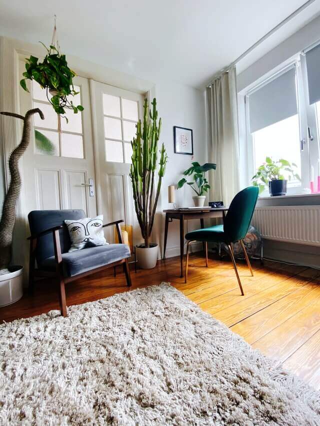 Oriental rug in living room.