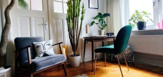 Oriental rug in living room.