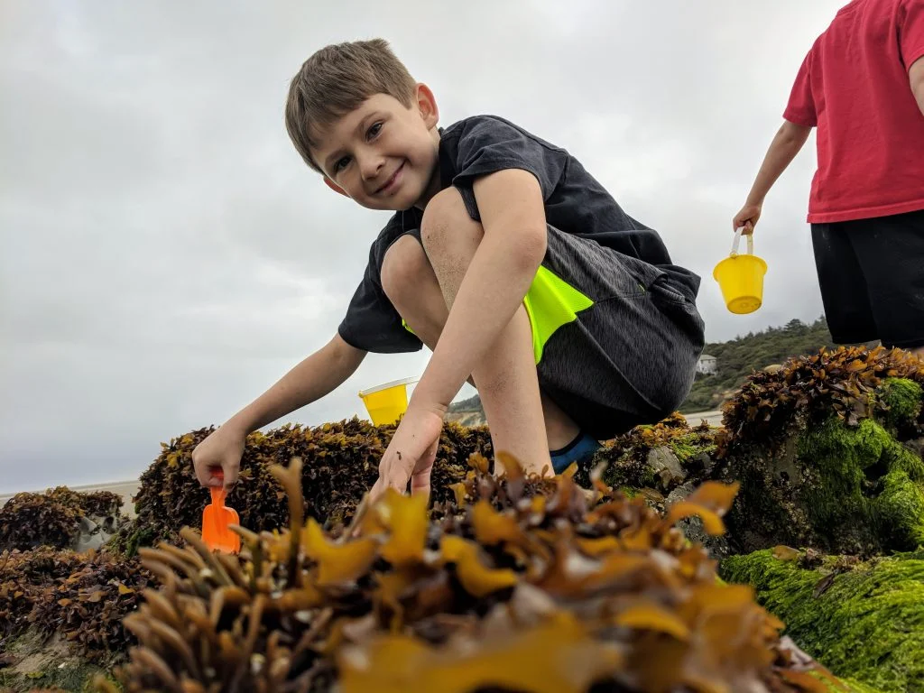 Kid playing in brown seaweed