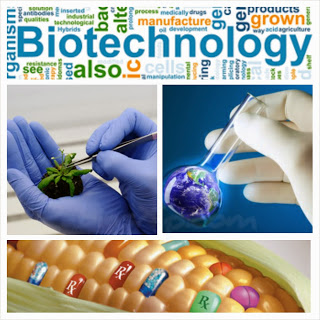 Biotechnology And Its Significances