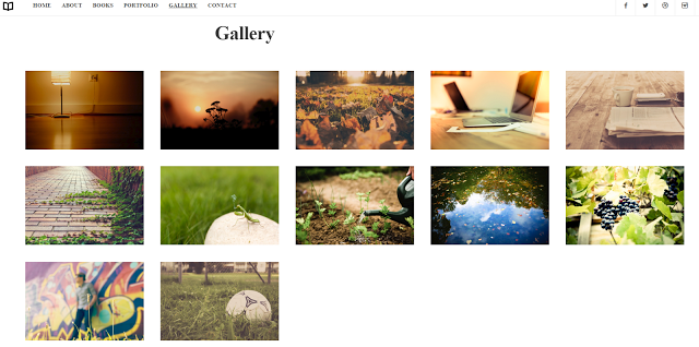 Gallery - Readme WP Responsive RabinsXP HTML5 & CSS3 Website Template