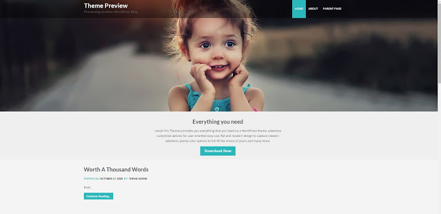 Lavish WordPress Theme By Styled Themes