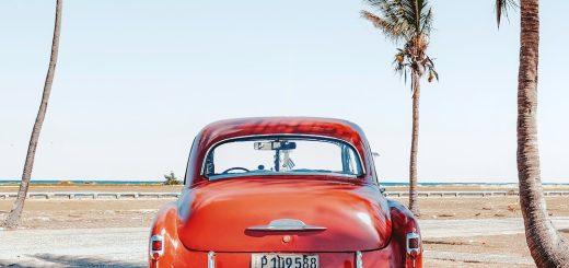 77d693b909684726f81362d10136b9cf