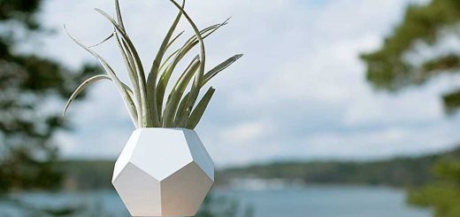 Flyte Lyfe Magnetic Zero Gravity Planter Outside - Luxury Anniversary Gift Ideas For Him