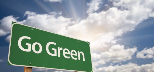 4 Easy Ways to Go Green