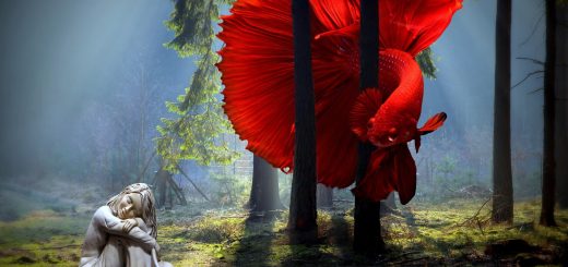 5 Cool Freshwater Fish Pets for Your Aquarium