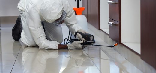 7 Factors to Consider When Picking Pest Control Services