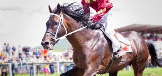 How Do You Bet on Horse Racing?: The Quintessential Beginner's Guide