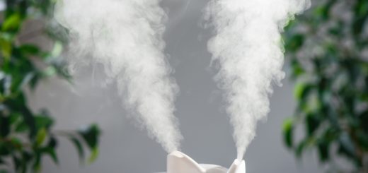 How and When to Use a Humidifier - 7 Key Tips