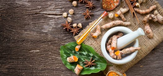 Natural Health: Top 5 Plants With Medicinal Properties