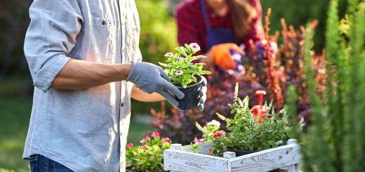 Pretty Flower Power: Predicting The Most Beautiful Gardening Trends for 2021