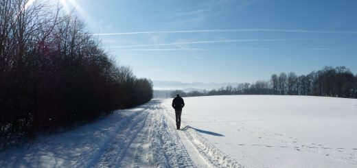 This Is How to Get Vitamin D in the Winter