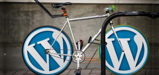 WordPress-Themes-and-Plugins-Introduction