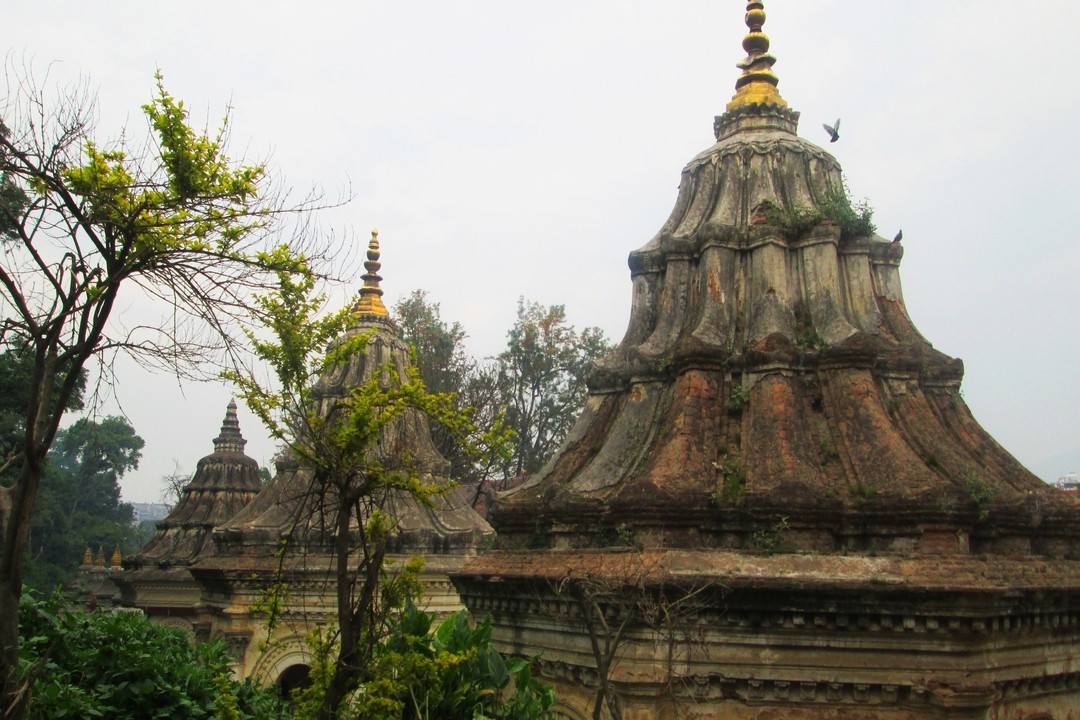ghuhyeshwari-temple-kathmandu-sightseeing-tours
