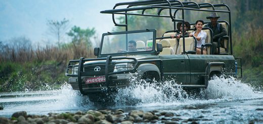 jeep-safari-chitwan